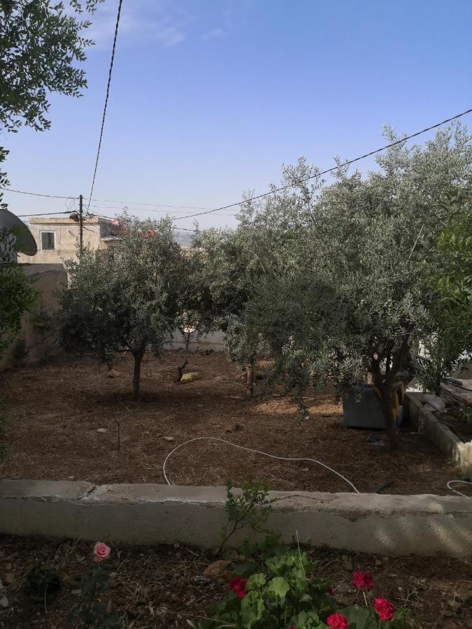 White Tulips Apartment الزنبقة البيضاء Jarash Exteriör bild