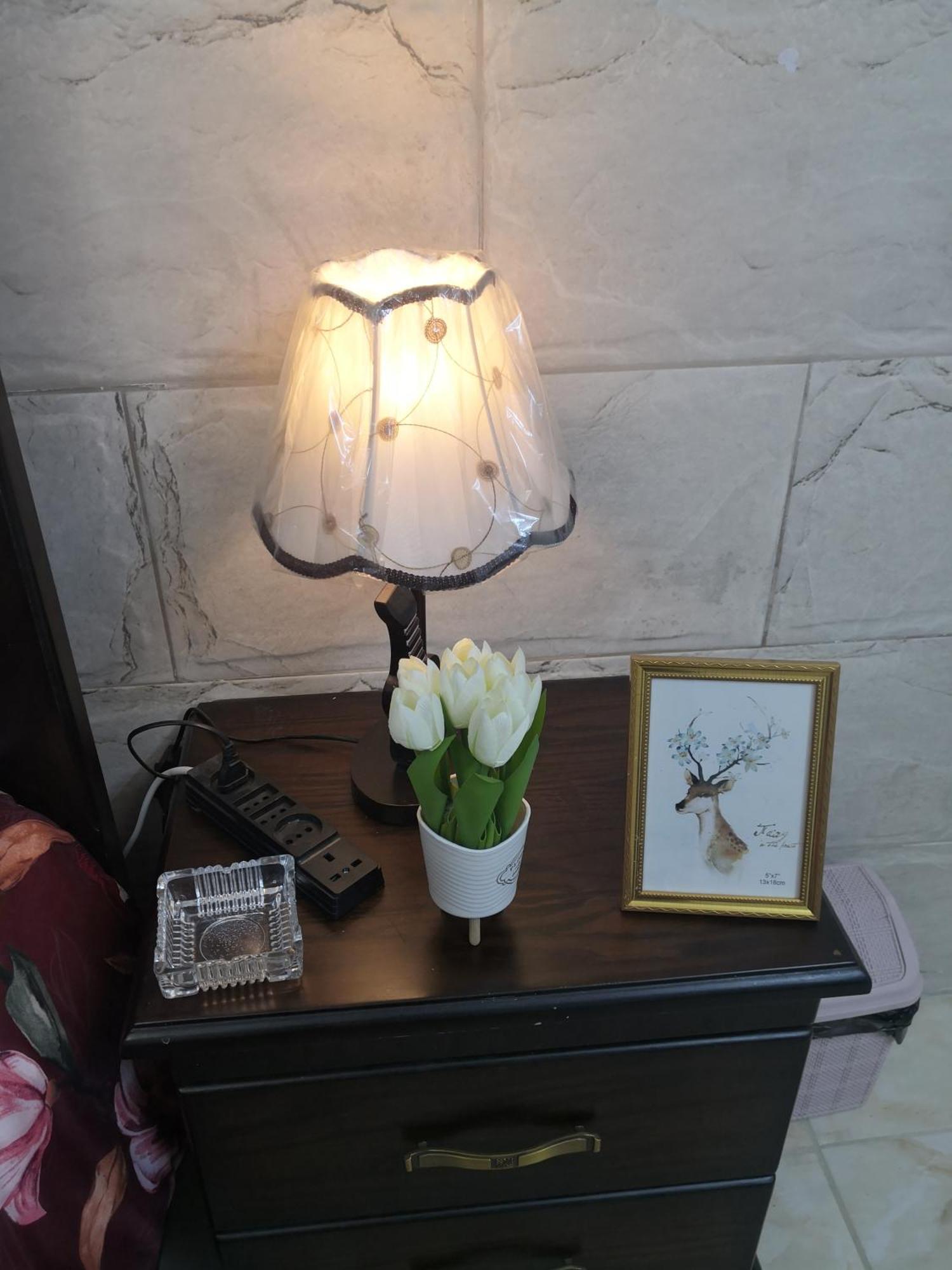 White Tulips Apartment الزنبقة البيضاء Jarash Exteriör bild