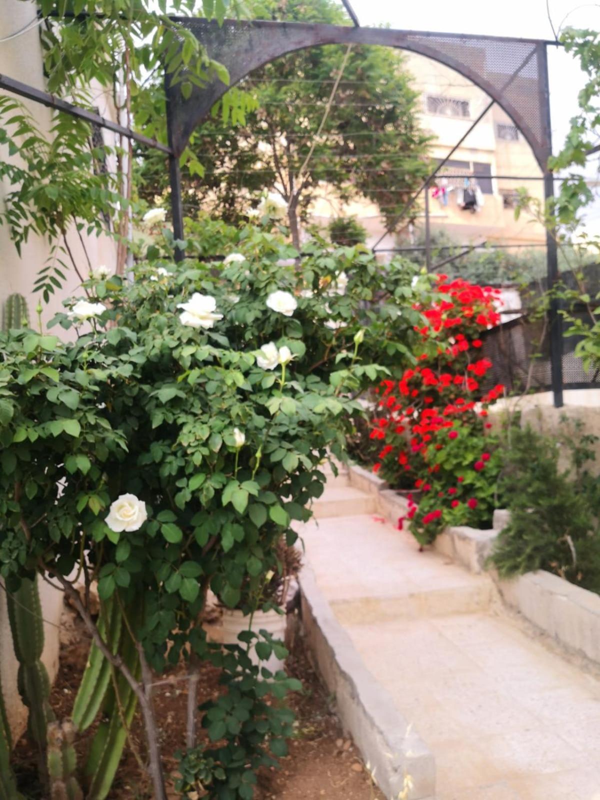 White Tulips Apartment الزنبقة البيضاء Jarash Exteriör bild