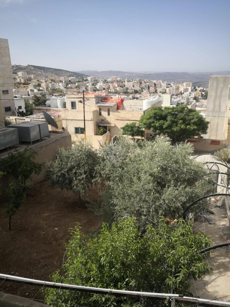 White Tulips Apartment الزنبقة البيضاء Jarash Exteriör bild